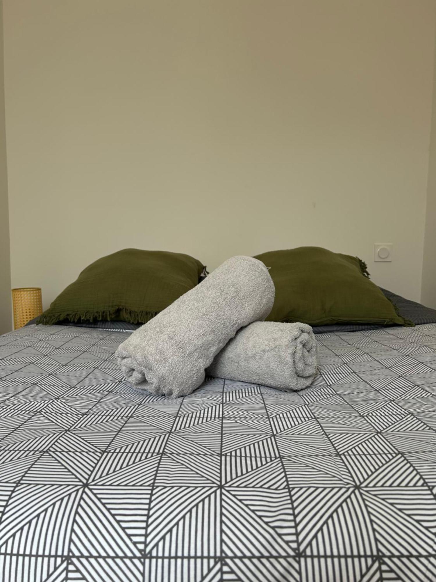 Le Toulousain 101 - Appartement Calme En Hypercentre - Quartier Jeanne D'Arc Toulouse Ngoại thất bức ảnh